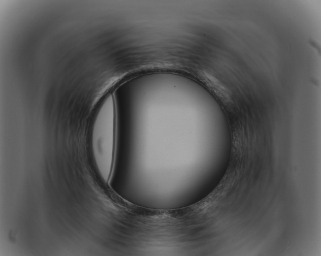 X0000091960112200709061108