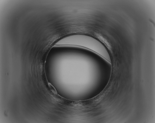 X0000091960113200709061108