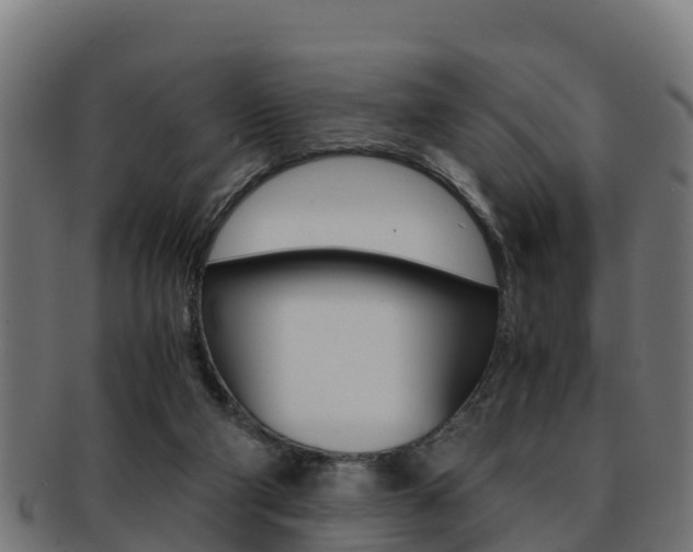 X0000091960114200709061108