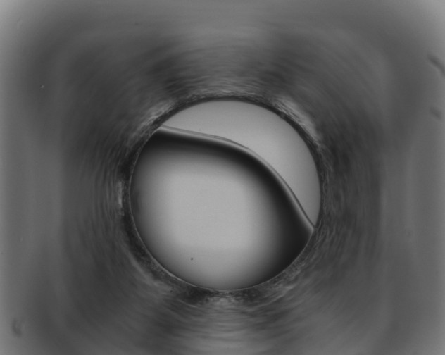 X0000091960115200709061108