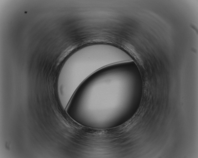 X0000091960116200709061108