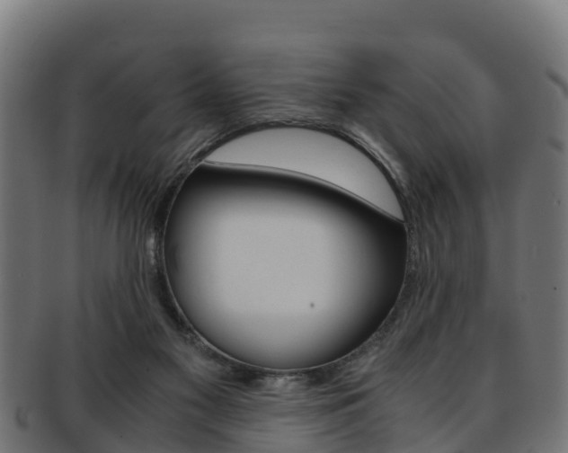 X0000091960117200709061108