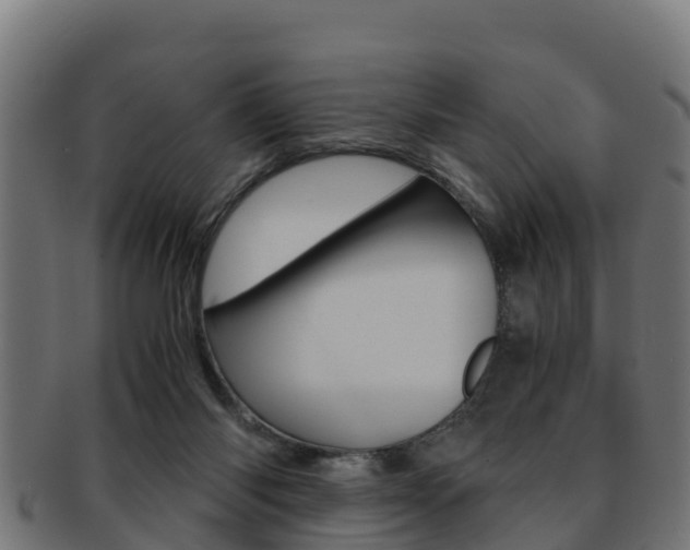 X0000091960118200709061108