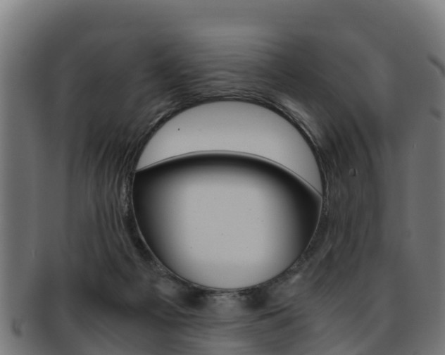 X0000091960121200709061108