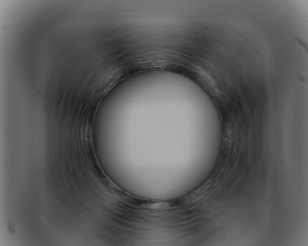 X0000091960122200709061108