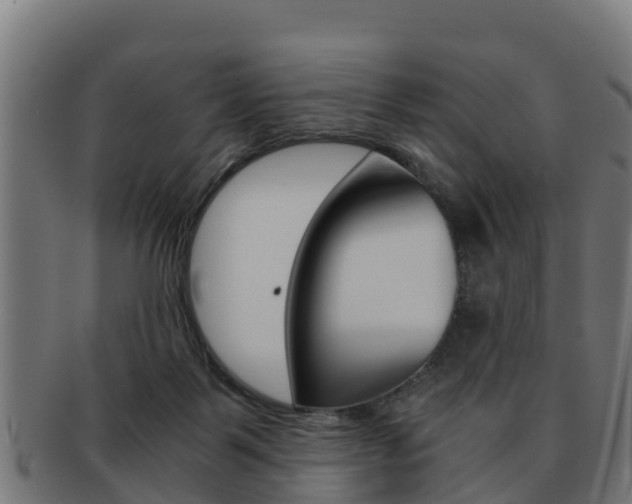 X0000091960123200709061108