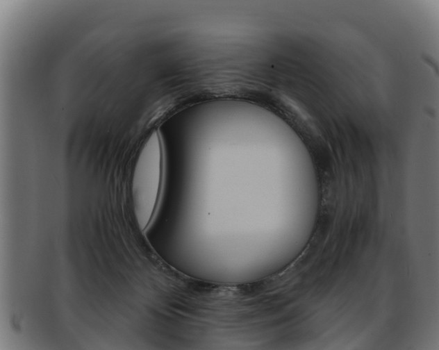 X0000091960124200709061108