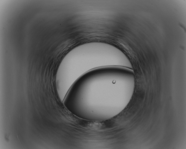 X0000091960125200709061108