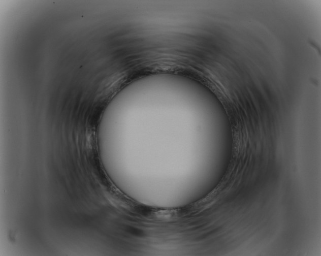 X0000091960126200709061108