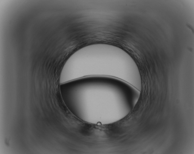 X0000091960127200709061108