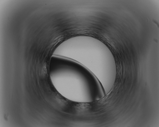 X0000091960128200709061108