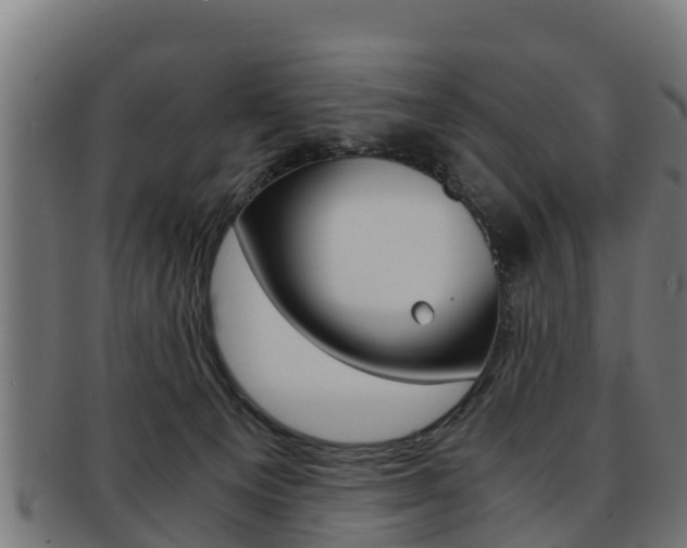 X0000091960129200709061108