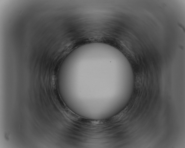 X0000091960130200709061108