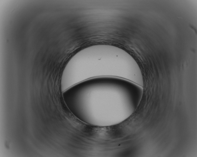 X0000091960131200709061108