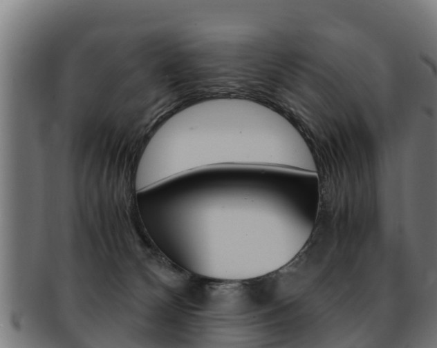 X0000091960132200709061108