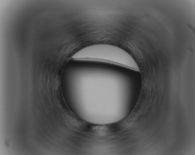 X0000091960133200709061108