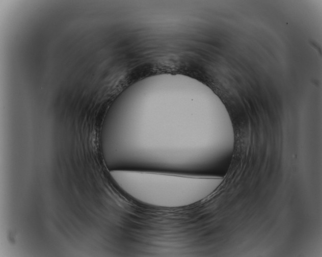 X0000091960134200709061108