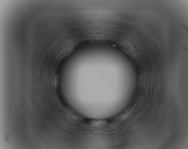 X0000091960135200709061108