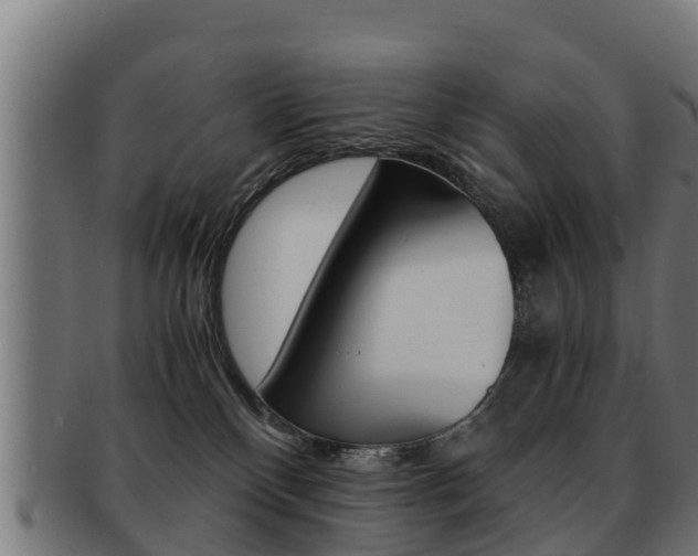 X0000091960136200709061108