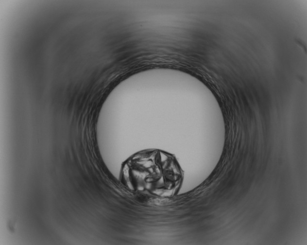 X0000091960137200709061108