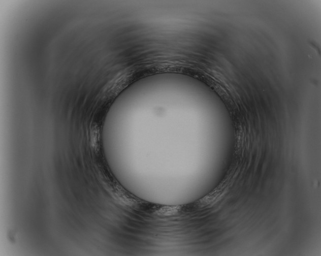 X0000091960138200709061108