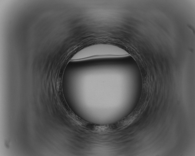 X0000091960139200709061108