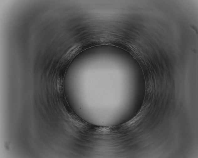 X0000091960140200709061108