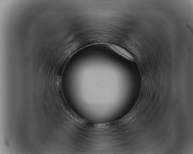 X0000091960141200709061108