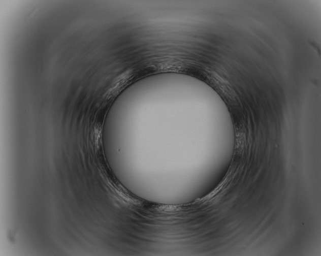 X0000091960142200709061108