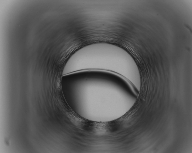 X0000091960143200709061108