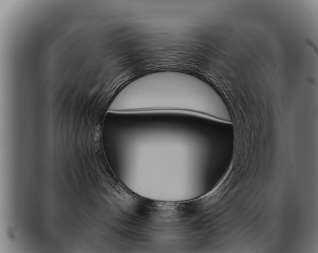 X0000091960144200709061108