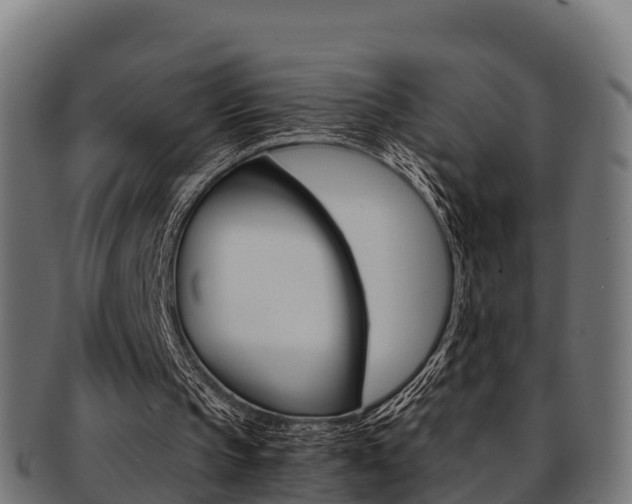 X0000091960145200709061107