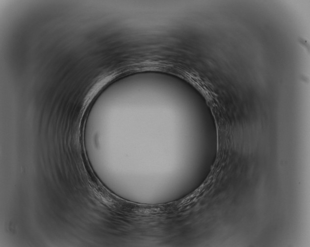 X0000091960147200709061107
