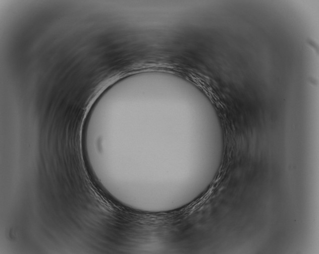 X0000091960148200709061107