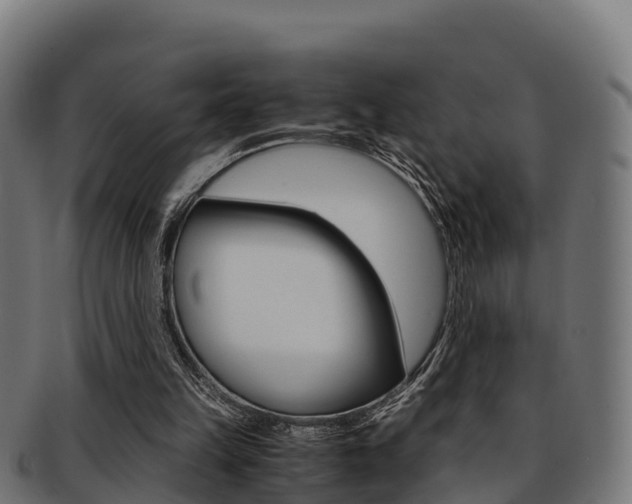 X0000091960149200709061107