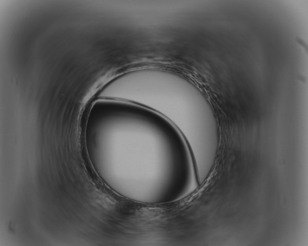 X0000091960150200709061107