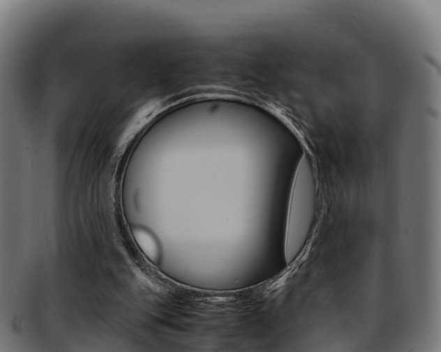 X0000091960151200709061107