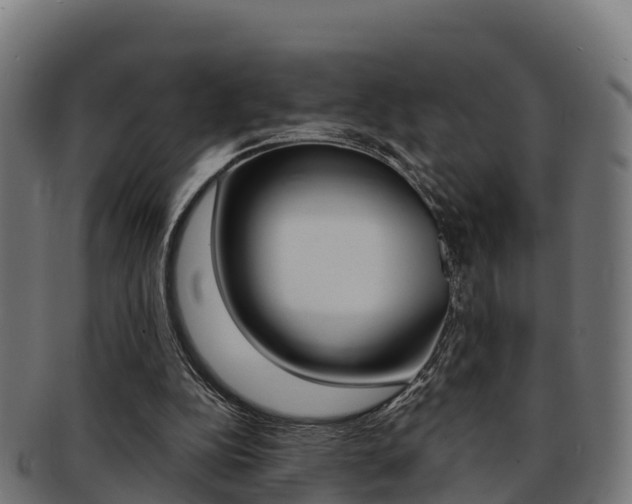 X0000091960152200709061107
