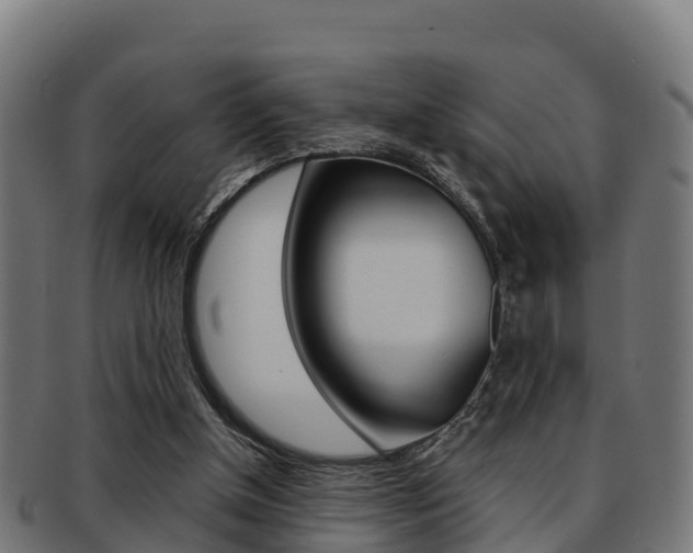 X0000091960154200709061107