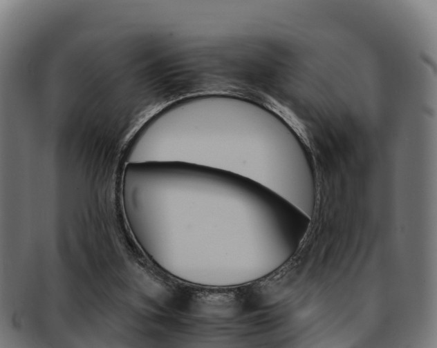 X0000091960155200709061107