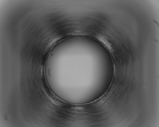 X0000091960157200709061107