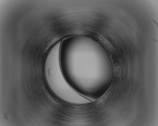 X0000091960158200709061107