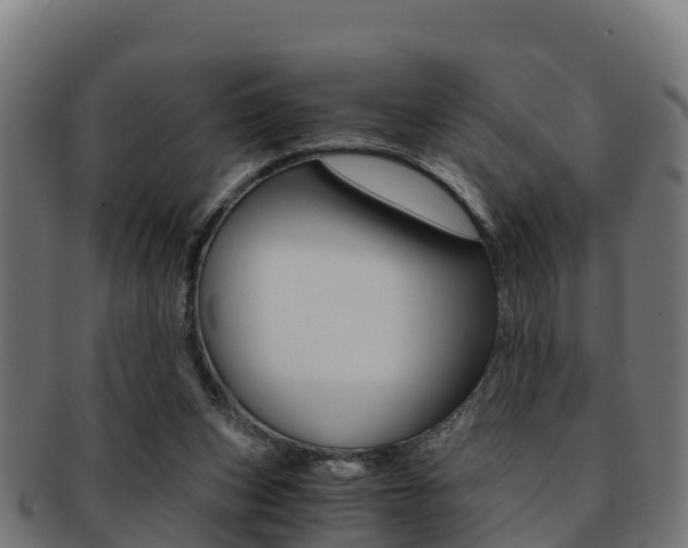 X0000091960159200709061107