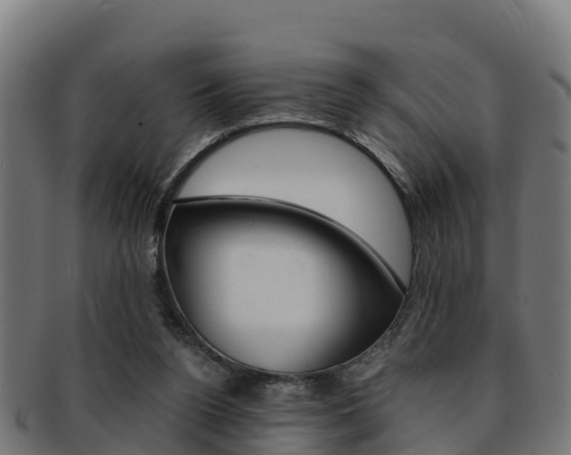 X0000091960160200709061107