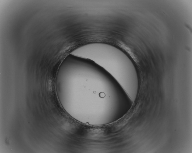X0000091960161200709061107