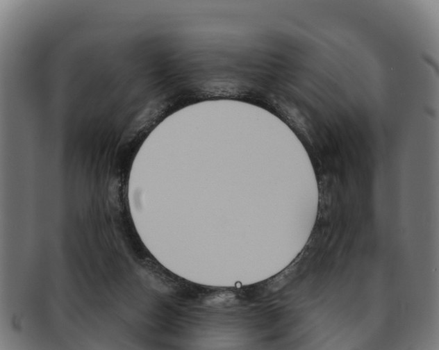 X0000091960162200709061107