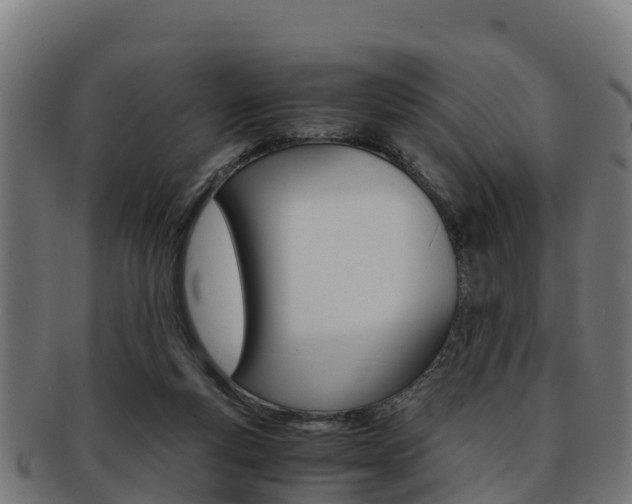X0000091960163200709061107