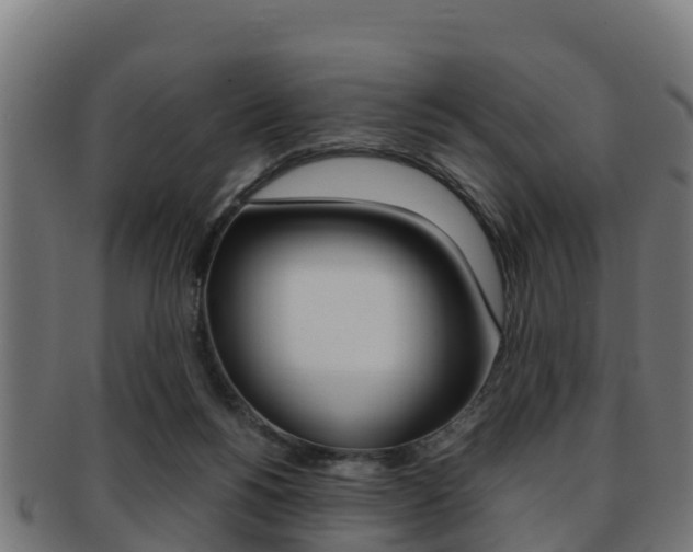 X0000091960168200709061107