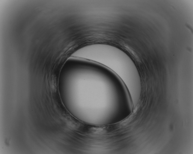 X0000091960170200709061107