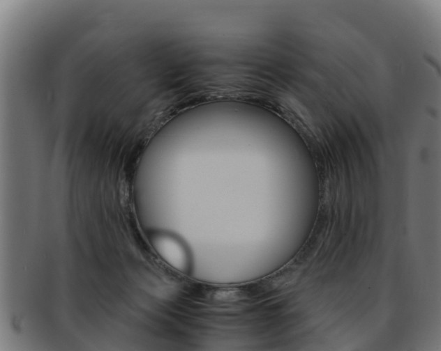 X0000091960173200709061107